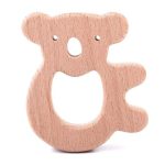 Bükkfa rágóka-Koala