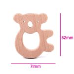 Bükkfa rágóka-Koala