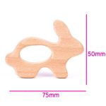 Bükkfa rágóka-Nyuszi