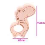 Bükkfa rágóka-Zebra